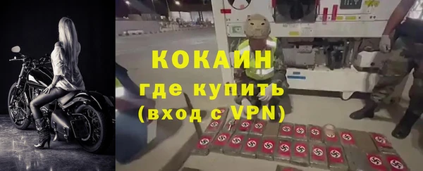 шишки Белоозёрский