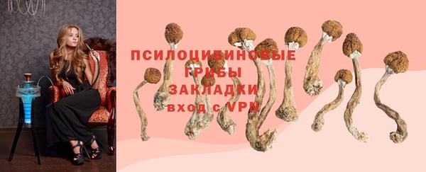mix Белокуриха