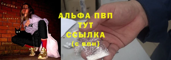 шишки Белоозёрский