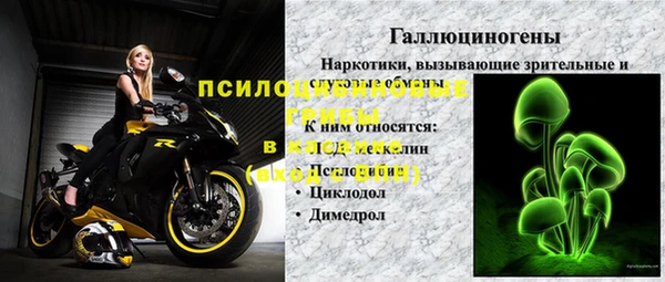 шишки Белоозёрский