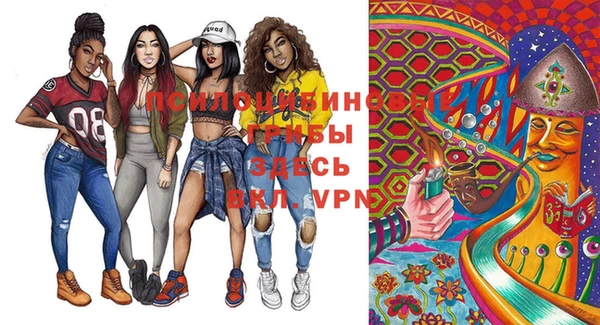 шишки Белоозёрский