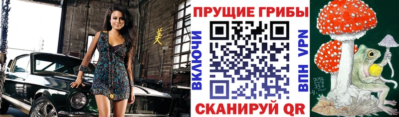 Псилоцибиновые грибы мицелий  даркнет формула  Щигры 